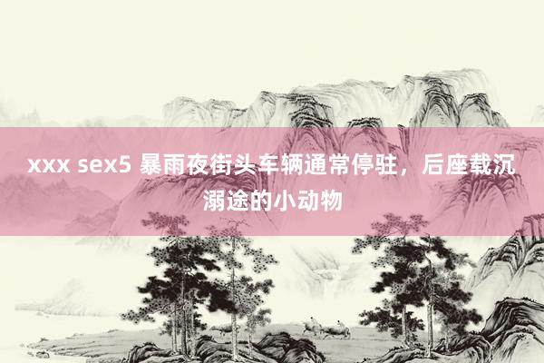 xxx sex5 暴雨夜街头车辆通常停驻，后座载沉溺途的小动物